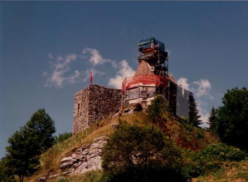 lavur cumina Caplutta1998