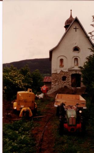 lavur cumina Caplutta1998