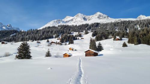 Pradas Schlans 2021 C. Pf