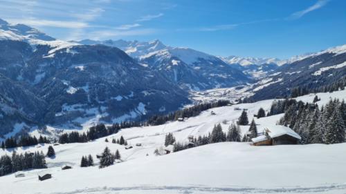 Pradas Schlans 2021 C. Pf