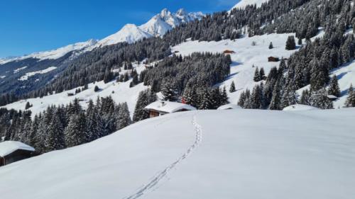 Pradas Schlans 2021 C. Pf