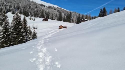 Pradas Schlans 2021 C. Pf