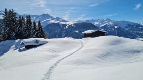 2Pradas Schlans 2021 C. Pf