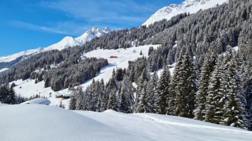 Pradas Schlans 2021 C. Pf