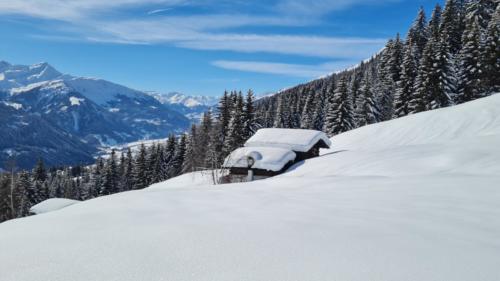 Pradas Schlans 2021 C. Pf