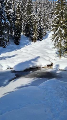 Pradas Schlans 2021 C. Pf