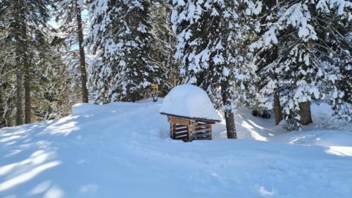 Pradas Schlans 2021 C. Pf