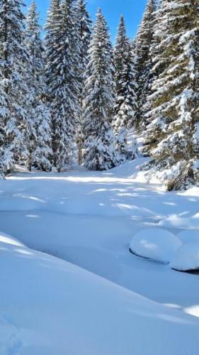 Pradas Schlans 2021 C. Pf