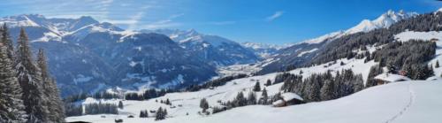 Pradas Schlans 2021 C. Pf