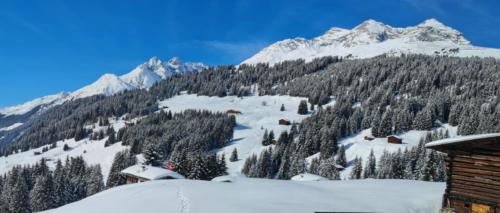 Pradas Schlans 2021 C. Pf