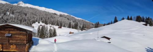 Pradas Schlans 2021 C. Pf